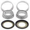 Kit rodamientos de columna de dirección ALL BALLS - 22-1007 - motoscamaralweb.com