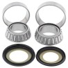 Kit rodamientos de columna de dirección ALL BALLS - 22-1009 - motoscamaralweb.com