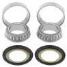 Kit rodamientos de columna de dirección ALL BALLS - 22-1010 - motoscamaralweb.com