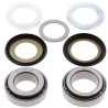 Kit de rodamientos y retenes de columna ALL BALLS 22-1011 - motoscamaralweb.com