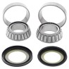 Kit rodamientos de columna de dirección ALL BALLS - 22-1023 - motoscamaralweb.com