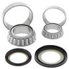 Kit rodamientos de columna de dirección ALL BALLS - 22-1025 - motoscamaralweb.com