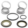 Kit rodamientos de columna de dirección ALL BALLS - 22-1026 - motoscamaralweb.com