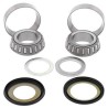 Kit rodamientos de columna de dirección ALL BALLS - 22-1029 - motoscamaralweb.com