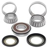 Kit de rodamientos y retenes de columna ALL BALLS 22-1053 - motoscamaralweb.com