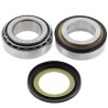 Kit rodamientos de columna de dirección ALL BALLS - 22-1055 - motoscamaralweb.com