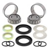 Kit rodamientos de basculante ALL BALLS 28-1059- motoscamaralweb.com
