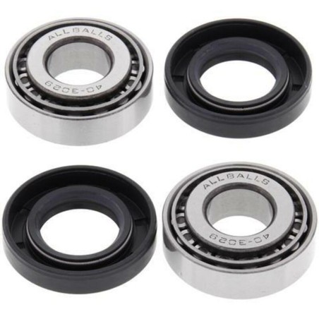 Kit de rodamientos de basculante ALL BALLS 28-1195- motoscamaralweb.co