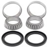 Kit rodamientos de rueda trasera ALL BALLS 25-1151 - motoscamaralweb.com