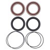 Kit rodamientos de rueda ALL BALLS 25-1612 - motoscamaralweb.com