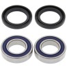 Kit rodamientos de rueda ALL BALLS 25-1079 - motoscamaralweb.com
