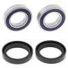 Kit rodamientos de rueda ALL BALLS 25-1482 - motoscamaralweb.com