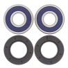 Kit rodamientos de rueda ALL BALLS 25-1382 - motoscamaralweb.com