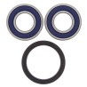 Kit rodamientos de rueda ALL BALLS 25-1417 - motoscamaralweb.com