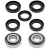 Kit rodamientos de rueda ALL BALLS 25-1523 - motoscamaralweb.com