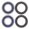 Kit rodamientos de rueda ALL BALLS 25-1562 - motoscamaralweb.com