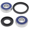 Kit rodamientos de rueda ALL BALLS 25-1316 - motoscamaralweb.com