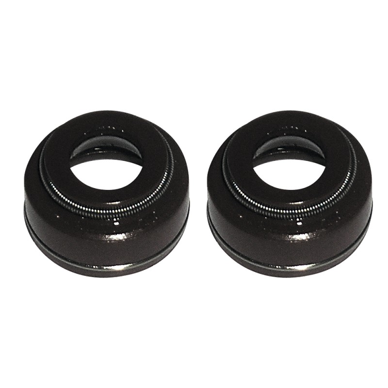 RETEN VALVULA OHV-MT-240-270- motoscamaralweb.com