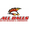 Kit de rodamientos diferencial ALL BALLS 25-2066-5 - motoscamaralweb.com