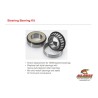 Kit rodamientos de columna de dirección ALL BALLS - 22-1069 - motoscamaralweb.com