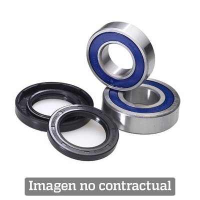 Kit rodamientos y retenes de rueda trasera ALL BALLS 25-1703 - motoscamaralweb.com
