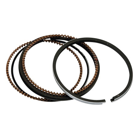 SEGMENTOS 0.25 OHV-MT-160- motoscamaralweb.com