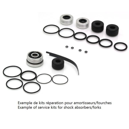 Kit de reparación de amortiguador trasero BITUBO WZT / WAT / WAX- moto