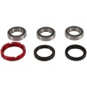 Kit de rodamientos y retenes de rueda trasera PIVOT WORKS - motoscamaralweb.com