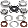 Kit ALL BALLS de rodamientos y retenes del diferencial trasero Polaris 800 RZR /RZR4 - motoscamaralweb.com