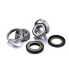 Kit de rodamientos de columna de dirección FACTORY LINKS - motoscamaralweb.com