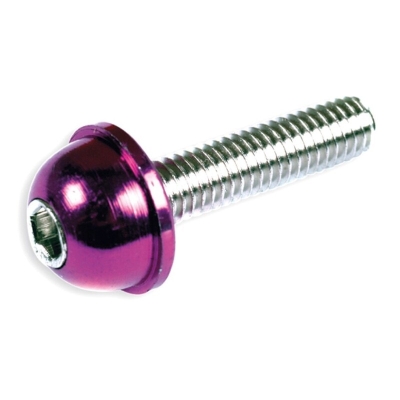 Kit 12 tornillos allen cabeza abombada M5x20 lila V PARTS - motoscamaralweb.com