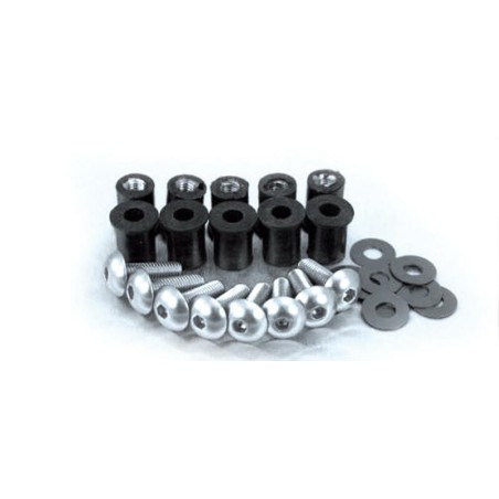 Juego de tornillos para cúpula BIHR Ø5mm plata - 8 unidades - motoscamaralweb.com
