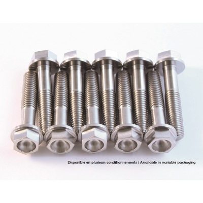 Tornillo para el motor SCAR titanio M6x60 - motoscamaralweb.com