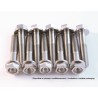 Kit de tornillos para el motor SCAR Titanio - motoscamaralweb.com
