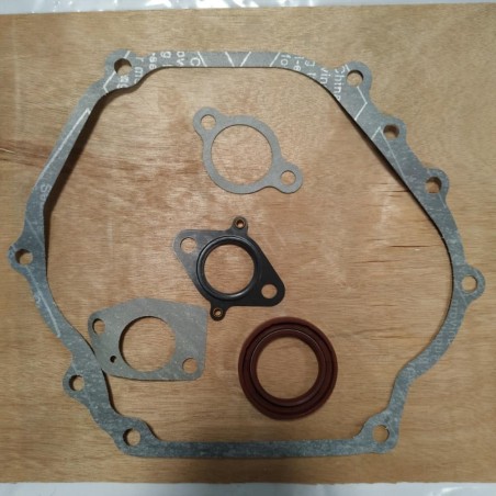 KIT JUNTAS MOTOR Y RETENES CIGUEÑAL MT-460- motoscamaralweb.com