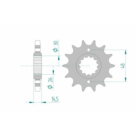Piñón AFAM acero estándar 20602 - Paso 530 - motoscamaralweb.com