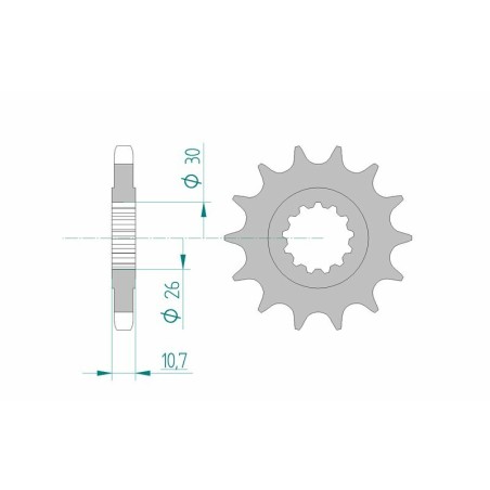 Piñón AFAM acero estándar 21801 - Paso 530 - motoscamaralweb.com