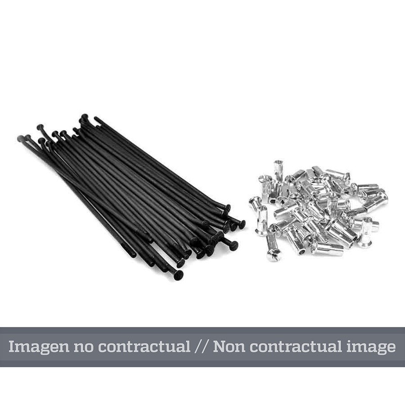 Juego de radios negro para llanta 17 para buje OEM 25 6303/3- motoscam Juego de radios negro para llanta 17 para buje OEM 25 6303/3- motoscam