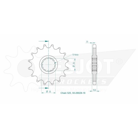 Piñón ESJOT acero 50-29018 16 dientes - motoscamaralweb.com