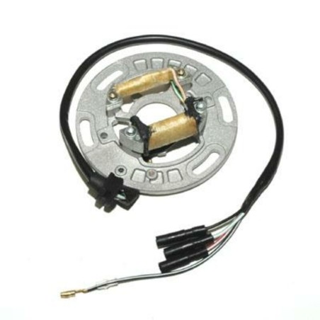 Estátor ELECTROSPORT - Kawasaki - motoscamaralweb.com