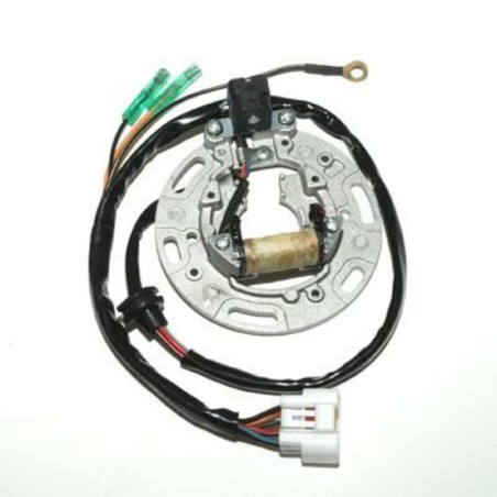 Estátor ELECTROSPORT - Kawasaki - motoscamaralweb.com