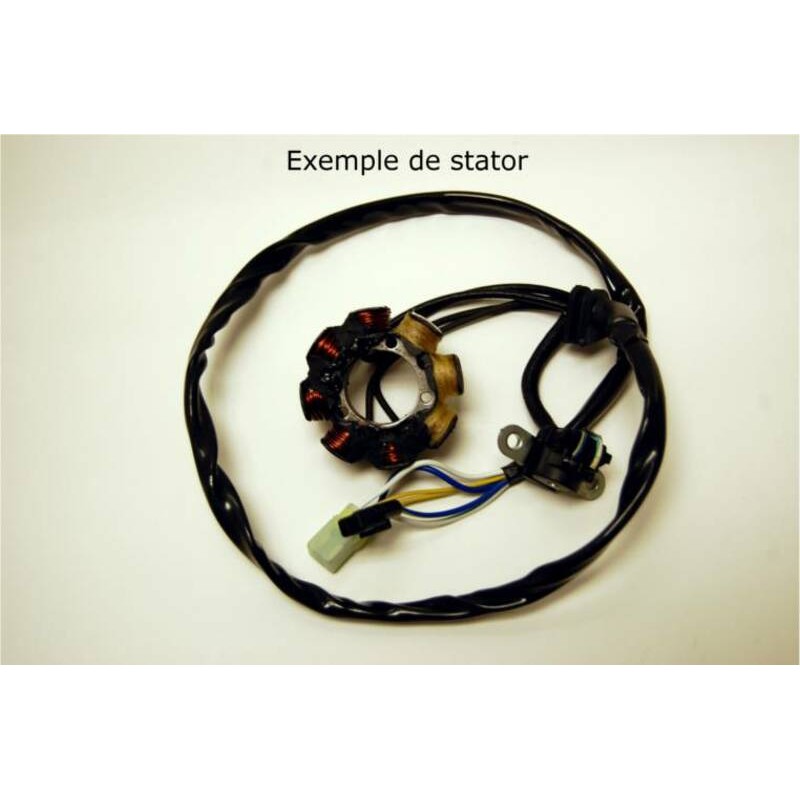 Estátor ELECTROSPORT - KTM - motoscamaralweb.com