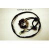 Estátor ELECTROSPORT - KTM - motoscamaralweb.com