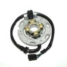 Estátor ELECTROSPORT - Yamha YZ125 - motoscamaralweb.com