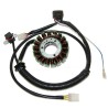 Estátor ELECTROSPORT - Polaris - motoscamaralweb.com
