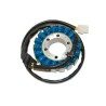 Estátor ELECTROSPORT - Honda CBR900RR - motoscamaralweb.com