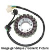 Estátor ELECTROSPORT - Kawasaki ZX10R - motoscamaralweb.com