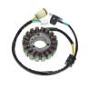 Estátor ELECTROSPORT - Yamaha YFM 660R Raptor - motoscamaralweb.com