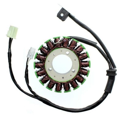 Estátor ELECTROSPORT - Triumph 675 - motoscamaralweb.com