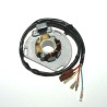 Estátor ELECTROSPORT - KTM - motoscamaralweb.com